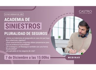 “Pluralidad de seguros”, nuevo webinar de Castro Consultores castro consultores webinar pluralidad seguros