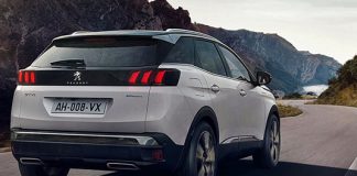 Chubut: evolución interanual del parque de automotores chubut parque automotores noviembre 2021