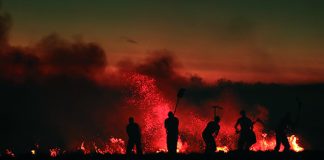 Fondo del Manejo del Fuego: la SSN transfirió 928 millones de pesos fondo manejo fuego ssn transferencia 928