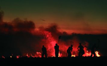 Fondo del Manejo del Fuego: la SSN transfirió 928 millones de pesos fondo manejo fuego ssn transferencia 928
