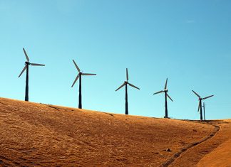 Seguros SURA: el rol clave de las aseguradoras para el cuidado del medio ambiente seguros sura rol aseguradoras cuidado medio ambiente