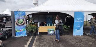 Acciones de RUS para mitigar la huella de carbono en el automovilismo rus resultados acciones huella carbono automovilismo