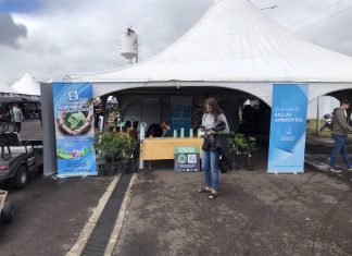 Acciones de RUS para mitigar la huella de carbono en el automovilismo rus resultados acciones huella carbono automovilismo