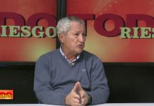 Markov: “ARM Services desarrolló una solución de seguros por kilómetro” markov arm services solución seguros kilómetro