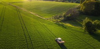 Seguros SURA y AgroPro: las claves para una agricultura sustentable seguros sura agropro claves agricultura sustentable