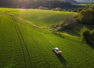 Seguros SURA y AgroPro: las claves para una agricultura sustentable seguros sura agropro claves agricultura sustentable