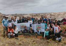 Alianza de Grupo San Cristóbal para plantar árboles nativos en las Sierras de Córdoba grupo san cristóbal alianza arboles nativos sierras córdoba