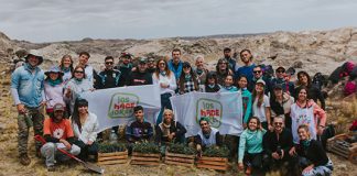 Alianza de Grupo San Cristóbal para plantar árboles nativos en las Sierras de Córdoba grupo san cristóbal alianza arboles nativos sierras córdoba