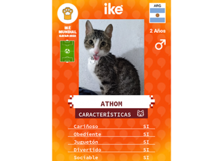 Iké: el furor por el Mundial de Qatar también llegó a las mascotas iké mundial qatar mascotas