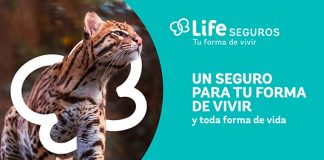 Life Seguros presentó su nueva campaña basada en la sustentabilidad life seguros campaña sustentabilidad