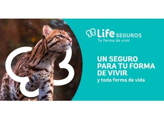 Life Seguros presentó su nueva campaña basada en la sustentabilidad life seguros campaña sustentabilidad