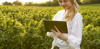 Vuelve Experto Agro, un programa de Seguros SURA seguros sura experto agro programa