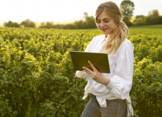 Vuelve Experto Agro, un programa de Seguros SURA seguros sura experto agro programa