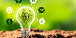Proyectos renovables: nueva oportunidad de “salida” para el mercado afianzador argentino proyectos energía renovables oportunidad mercado afianzador argentino