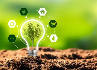 Proyectos renovables: nueva oportunidad de “salida” para el mercado afianzador argentino proyectos energía renovables oportunidad mercado afianzador argentino