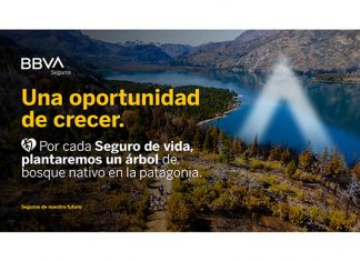 Patagonia: BBVA Seguros se une a ReforestARG en la misión de salvar bosques nativos bbva seguros reforestarg misión bosques nativos patagonia