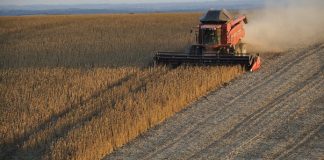 ADIRA pone el eje en la necesidad de contar con un seguro agrícola integral adira eje seguro agrícola integral