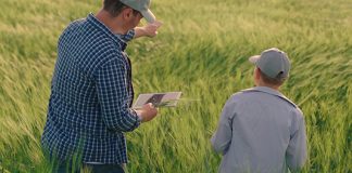 Agroactiva: Nera y Galicia Seguros lanzan una plataforma de cotización digital agroactiva nera galicia seguros plataforma cotización digital