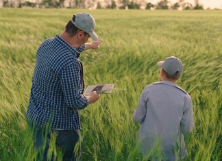 Agroactiva: Nera y Galicia Seguros lanzan una plataforma de cotización digital agroactiva nera galicia seguros plataforma cotización digital