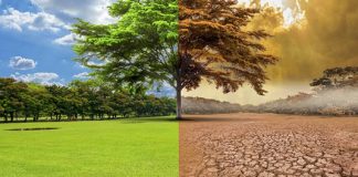 RedMES: cambio climático, sustentabilidad y seguros redmes cambio climático sustentabilidad seguros