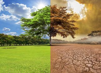 RedMES: cambio climático, sustentabilidad y seguros redmes cambio climático sustentabilidad seguros