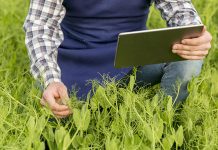 Seguros SURA: empresas y medio ambiente, una alianza indispensable seguros sura empresas medioambiente alianza