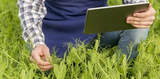 Seguros SURA: empresas y medio ambiente, una alianza indispensable seguros sura empresas medioambiente alianza