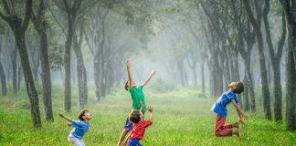 Ranking del ramo vida: las líderes a marzo de 2023 ranking ramo vida líderes marzo 2023