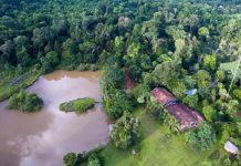 Bosque San Cristóbal, un nuevo pulmón para el planeta bosque san cristóbal pulmón planeta