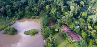Bosque San Cristóbal, un nuevo pulmón para el planeta bosque san cristóbal pulmón planeta
