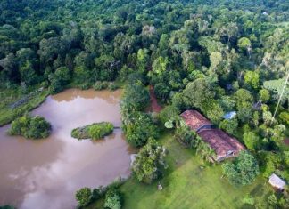 Bosque San Cristóbal, un nuevo pulmón para el planeta bosque san cristóbal pulmón planeta