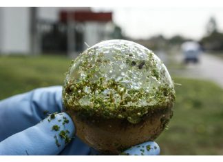 Arte sustentable: La Perseverancia Seguros auspicia el proyecto Biosfera la perseverancia seguros arte sustentable proyecto biosfera
