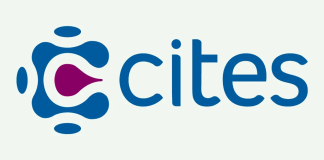 CITES impulsa Amnova Biotech, la startup que desarrolla la biomedicina cites-sancor-seguros-amnova-biotech