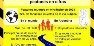 17-agosto-dia-internacional-peaton