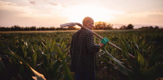 Sancor Seguros lanzó su campaña de seguros agropecuarios 2024/2025 sancor seguros campaña agropecuarios 2024 2025