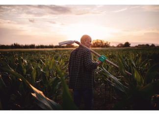 Sancor Seguros lanzó su campaña de seguros agropecuarios 2024/2025 sancor seguros campaña agropecuarios 2024 2025