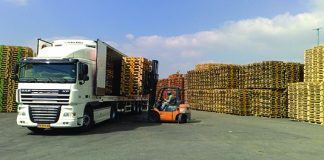 El seguro de transporte: la clave para proteger la carga y garantizar la continuidad operativa aapas seguro transporte clave proteger carga continuidad operativa