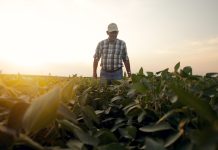 Segunda-Seguros-productor-campaña-gruesa-cambio-climático