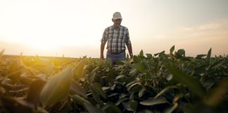 Segunda-Seguros-productor-campaña-gruesa-cambio-climático