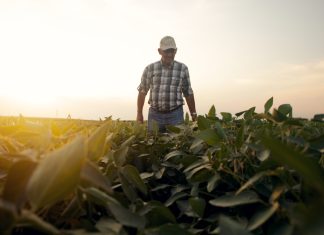 La Segunda Seguros: el productor, la campaña gruesa y el cambio climático Segunda-Seguros-productor-campaña-gruesa-cambio-climático