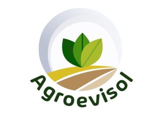 La IA, clave para la toma de decisiones ia-clave-toma-decisiones