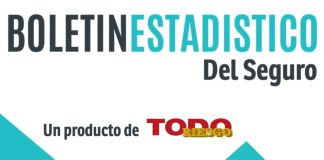 Todo Riesgo lanza el Boletín Estadístico del Seguro todo riesgo boletín estadístico seguro