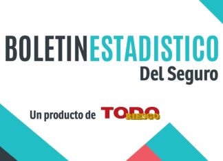 Todo Riesgo lanza el Boletín Estadístico del Seguro todo riesgo boletín estadístico seguro