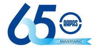 65 años de mejora continua aapas saurit román años 65