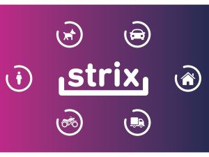 strix-informe-movilidad-marzo-robo-interior