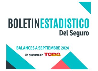 Ya se está distribuyendo el Boletín Estadístico del Seguro con toda la información a septiembre de 2024 todo riesgo boletín estadístico seguro información septiembre 2024
