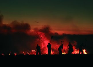 Nueva estimación: pérdidas por 30 mil millones de dólares para el seguro por los incendios en Los Angeles estimación pérdidas seguro incendio los angeles enero 2025