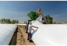 la segunda seguros silo bolsas innovacion almacenamiento respaldo asegurado