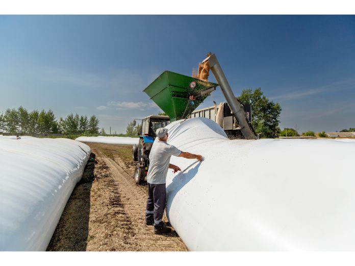 la segunda seguros silo bolsas innovacion almacenamiento respaldo asegurado