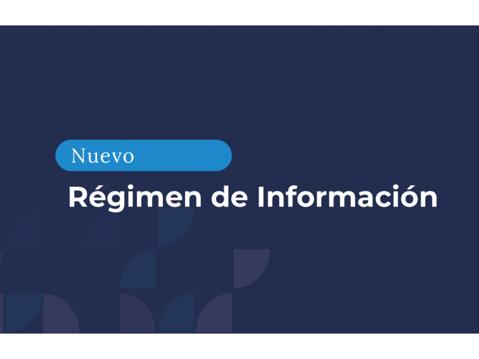 ssn régimen información pruebas presentación semanal inversiones